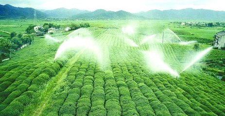 农业蘑菇视频在线观看高清完整版免费下载